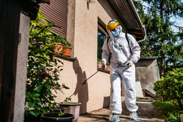 Wildlife Control Services in Fortuna Foothills, AZ