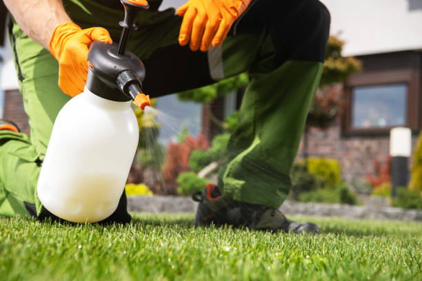 Best Exterminator Services  in Fortuna Foothills, AZ