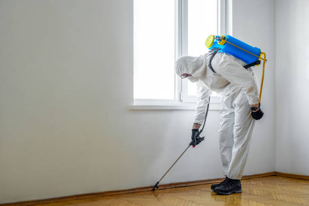 Best Cockroach Control Services  in Fortuna Foothills, AZ