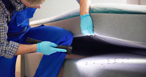 Best Emergency Pest Control  in Fortuna Foothills, AZ