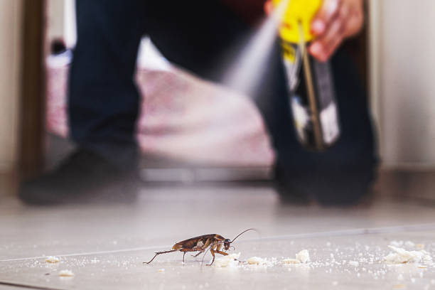 Best Pest Inspection Near Me  in Fortuna Foothills, AZ
